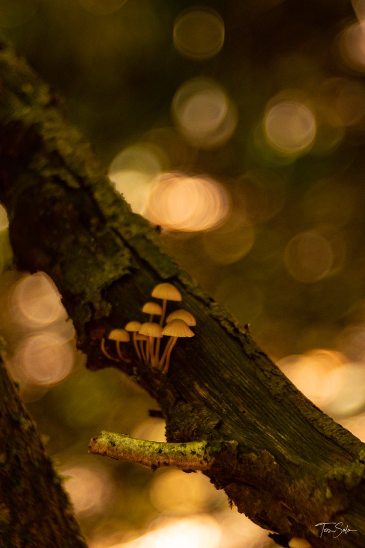 928F2AA6 00B3-4695-8258-542CA3304312