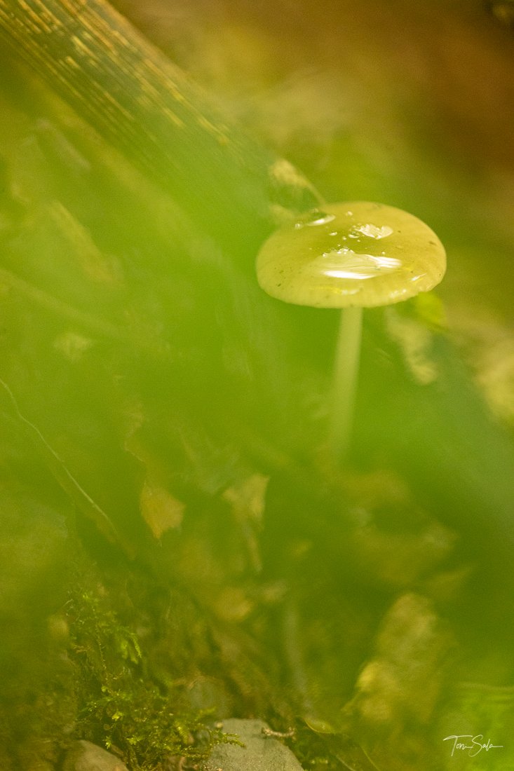 35ADEAAD C675-4B6C-A108-AB1AE024FBE3