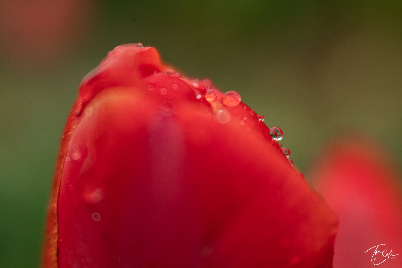 35ADEAAD C675-4B6C-A108-AB1AE024FBE3