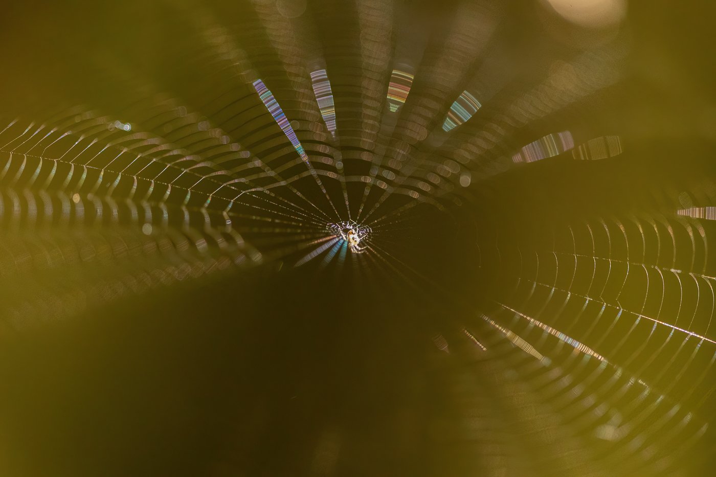 928F2AA6 00B3-4695-8258-542CA3304312