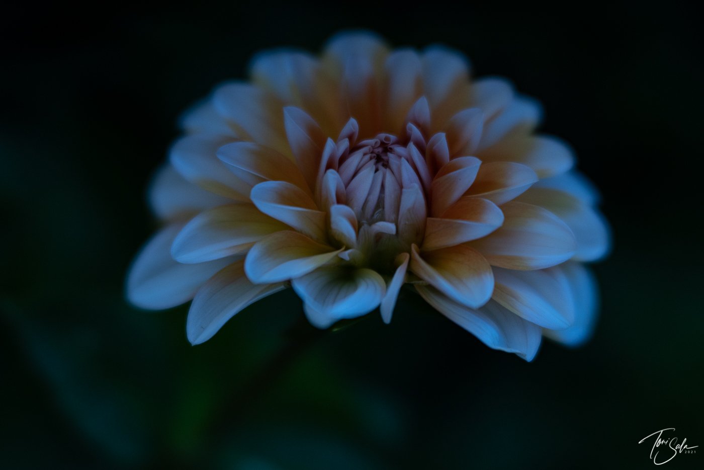 35ADEAAD C675-4B6C-A108-AB1AE024FBE3